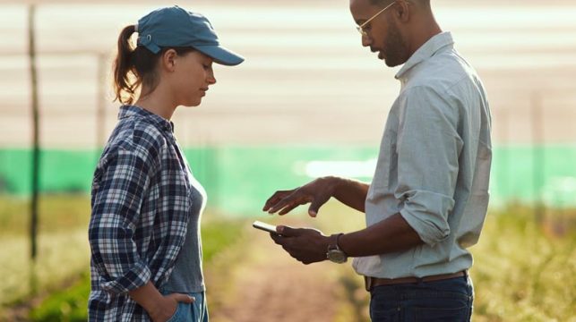 agi business consultancy